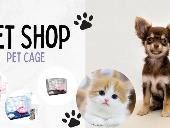  Discover the Best Pet Store in Dickson City: Your Ultimate Guide to Pet Care