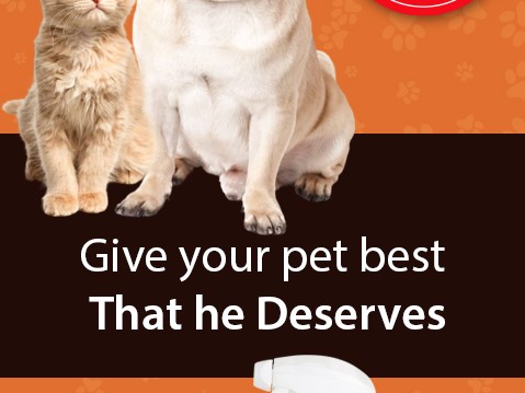  Discover the Best Deals on Pet Supplies at Pet Supplies Plus Com