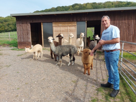  Discover the Magic of Michigan Petting Farm: A Family-Friendly Adventure Awaits!