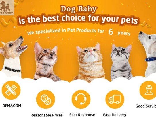  The Ultimate Guide to Choosing the Best Pet Pets for Your Family