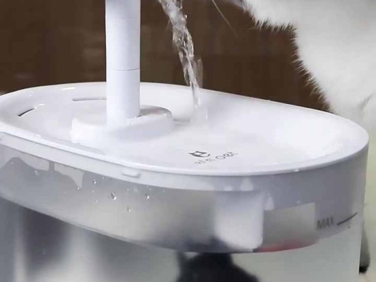  The Ultimate Guide to Choosing the Best Pet Fountain Water Bowl for Your Furry Friends