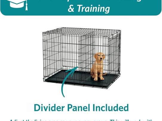 ### Discover the Ultimate Solution: Temporary Fence for Pets