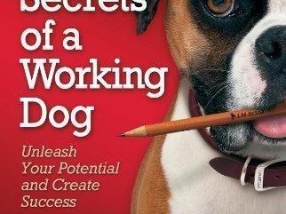 # Unlocking the Secrets of Pets Best Insurance: Insights from Reddit